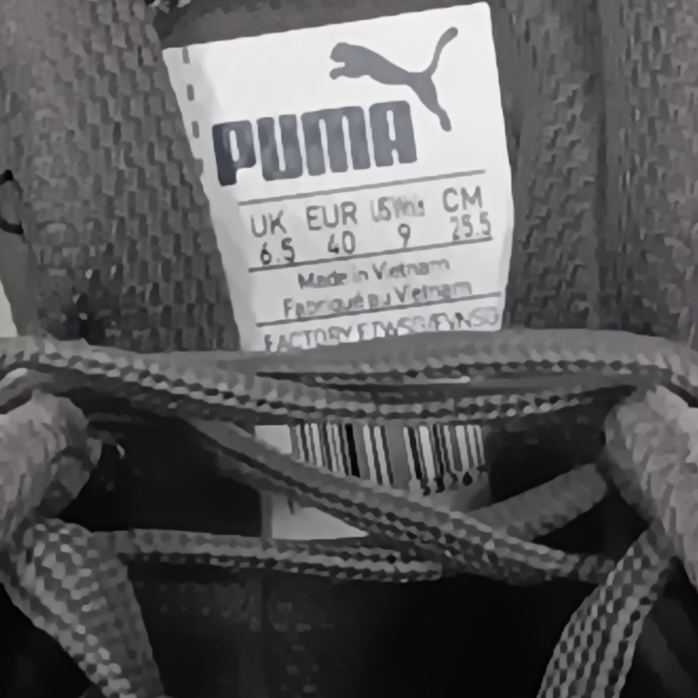 Puma - Picture 6 of 6